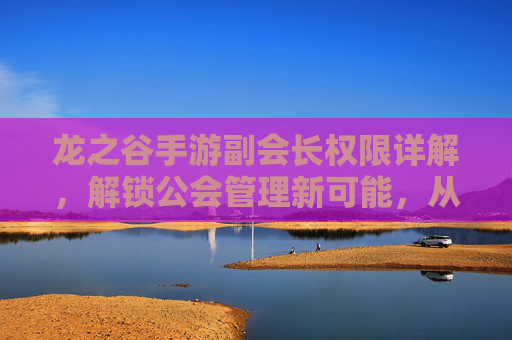 龙之谷手游副会长权限详解,解锁公会管理新可能,从零到一的进阶指南