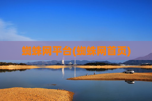 蜘蛛网平台(蜘蛛网首页)