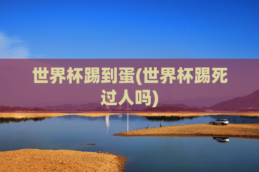 世界杯踢到蛋(世界杯踢死过人吗)
