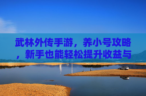 武林外传手游,养小号攻略,新手也能轻松提升收益与体验