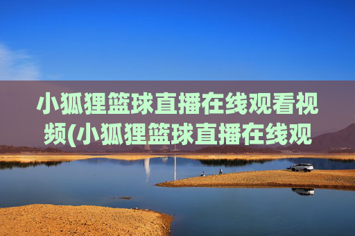 小狐狸篮球直播在线观看视频(小狐狸篮球直播在线观看视频下载)