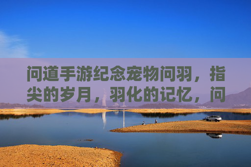 问道手游纪念宠物问羽，指尖的岁月，羽化的记忆，问道手游纪念宠物问羽，指尖的岁月，羽化的记忆