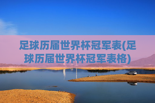 足球历届世界杯冠军表(足球历届世界杯冠军表格)