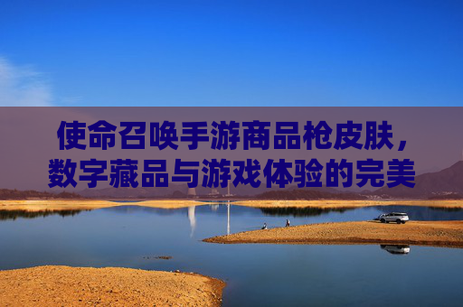 使命召唤手游商品枪皮肤，数字藏品与游戏体验的完美融合，重塑战斗美学与收藏价值，使命召唤手游，枪皮肤与数字藏品融合，重塑战斗美学与收藏价值