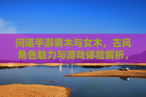 问道手游男木与女木，古风角色魅力与游戏体验解析，问道手游男木与女木，古风角色魅力与游戏体验解析