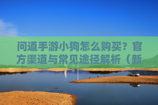 问道手游小狗怎么购买?官方渠道与常见途径解析(新手必看)问道手游小狗怎么购买?官方渠道与常见途径解析(新手必看)