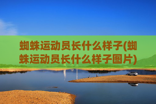 蜘蛛运动员长什么样子(蜘蛛运动员长什么样子图片)