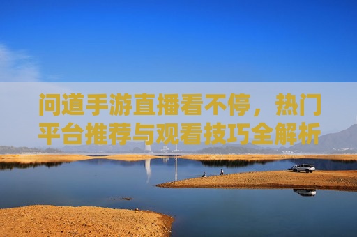 问道手游直播看不停，热门平台推荐与观看技巧全解析，问道手游直播看不停，热门平台推荐与观看技巧全解析