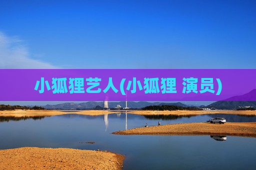 小狐狸艺人(小狐狸 演员)