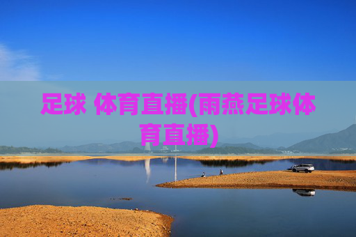 足球 体育直播(雨燕足球体育直播)