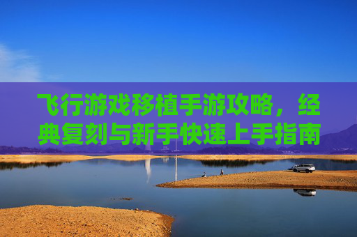 飞行游戏移植手游攻略，经典复刻与新手快速上手指南，飞行游戏移植手游攻略，经典复刻与新手快速上手指南