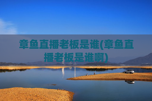 章鱼直播老板是谁(章鱼直播老板是谁啊)