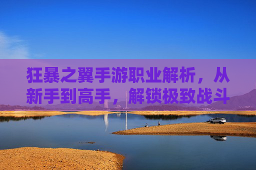 狂暴之翼手游职业解析，从新手到高手，解锁极致战斗体验，狂暴之翼手游职业解析，从新手到高手，解锁极致战斗体验