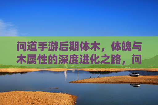 问道手游后期体木,体魄与木属性的深度进化之路,问道手游后期体木,体魄与木属性的深度进化之路