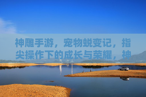 神雕手游,宠物蜕变记,指尖操作下的成长与荣耀,神雕手游,宠物蜕变记,指尖操作下的成长与荣耀