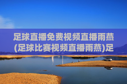 足球直播免费视频直播雨燕(足球比赛视频直播雨燕)足球直播免费视频雨燕，雨燕足球比赛视频直播