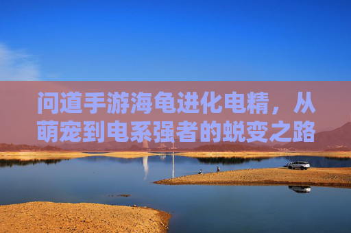 问道手游海龟进化电精，从萌宠到电系强者的蜕变之路，问道手游海龟进化电精，从萌宠到电系强者的蜕变之路