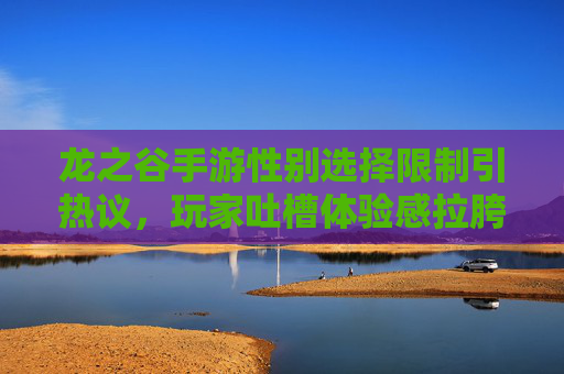 龙之谷手游性别选择限制引热议，玩家吐槽体验感拉胯，龙之谷手游性别选择限制引热议 玩家吐槽体验感拉胯