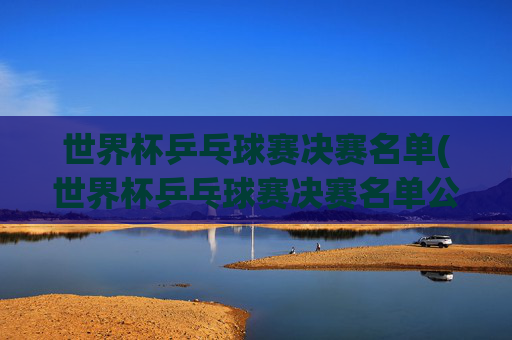 世界杯乒乓球赛决赛名单(世界杯乒乓球赛决赛名单公布)
