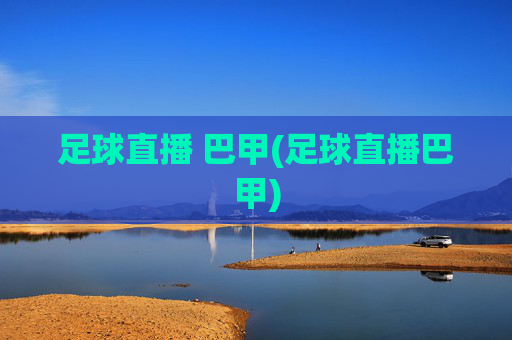 足球直播 巴甲(足球直播巴甲)