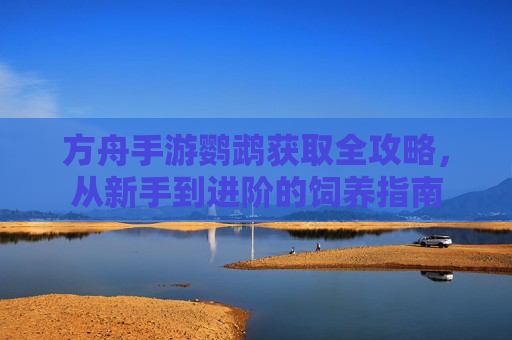 方舟手游鹦鹉获取全攻略,从新手到进阶的饲养指南
