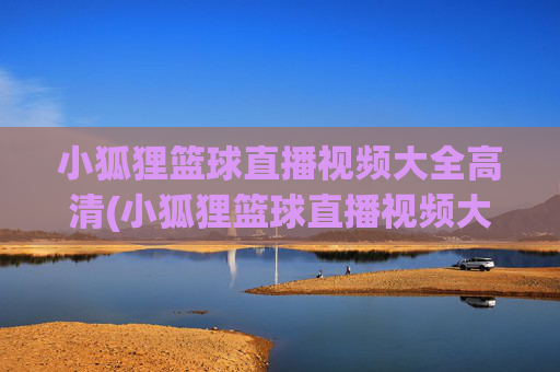 小狐狸篮球直播视频大全高清(小狐狸篮球直播视频大全高清下载)