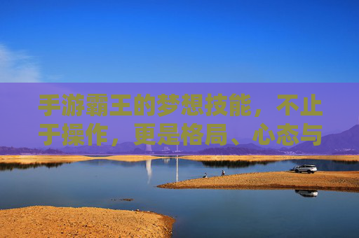 手游霸王的梦想技能，不止于操作，更是格局、心态与坚持的升华，手游霸王的梦想技能，不止于操作，更是格局、心态与坚持的升华
