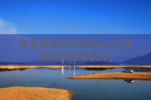 专业足球视频直播app(足球视频直播软件)