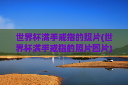 世界杯满手戒指的照片(世界杯满手戒指的照片图片)