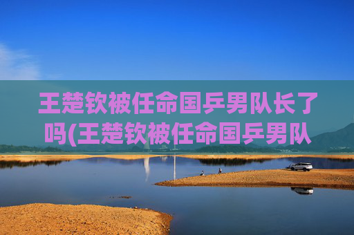 王楚钦被任命国乒男队长了吗(王楚钦被任命国乒男队长了吗)