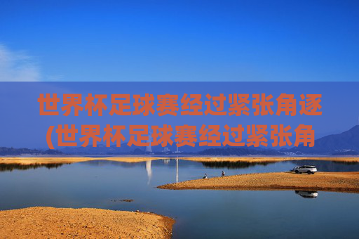 世界杯足球赛经过紧张角逐(世界杯足球赛经过紧张角逐吗)