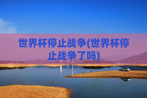 世界杯停止战争(世界杯停止战争了吗)