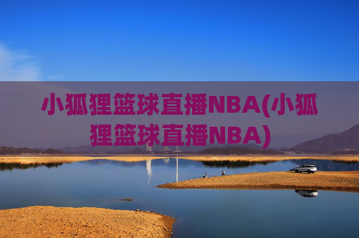 小狐狸篮球直播NBA(小狐狸篮球直播NBA)