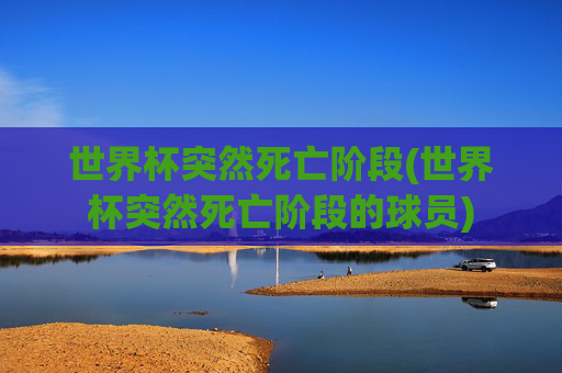 世界杯突然死亡阶段(世界杯突然死亡阶段的球员)
