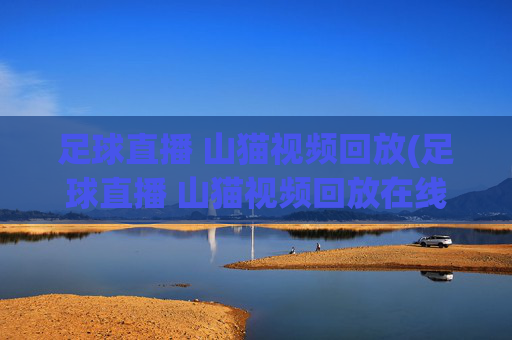 足球直播 山猫视频回放(足球直播 山猫视频回放在线观看)