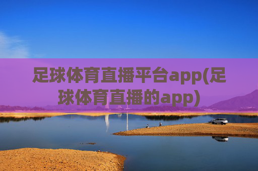 足球体育直播平台app(足球体育直播的app)