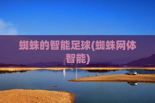蜘蛛的智能足球(蜘蛛网体智能)