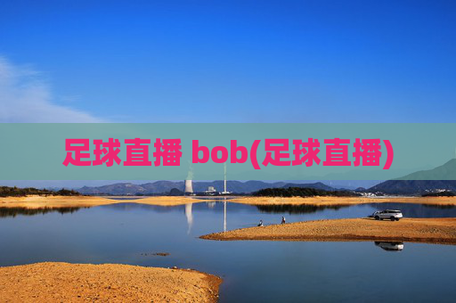 足球直播 bob(足球直播)