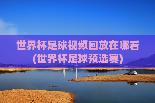 世界杯足球视频回放在哪看(世界杯足球预选赛)