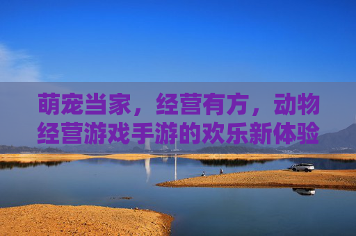 萌宠当家,经营有方,动物经营游戏手游的欢乐新体验,萌宠当家,经营有方,动物经营手游的欢乐新体验