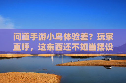 问道手游小鸟体验差?玩家直呼,这东西还不如当摆设,资源浪费