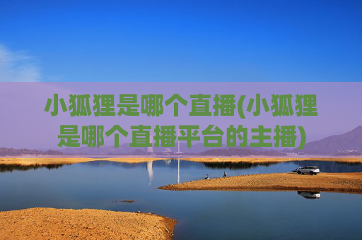 小狐狸是哪个直播(小狐狸是哪个直播平台的主播)