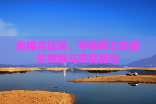赤裸的征途,手游男主的虚拟觉醒与现实救赎