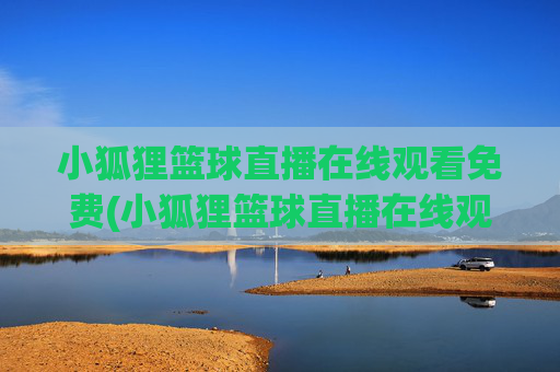 小狐狸篮球直播在线观看免费(小狐狸篮球直播在线观看免费视频)
