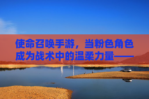 使命召唤手游，当粉色角色成为战术中的温柔力量——解析游戏内使命召唤手游角色粉色的魅力与战术价值