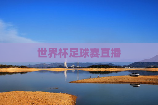 世界杯足球赛直播