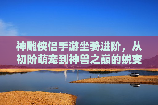 神雕侠侣手游坐骑进阶，从初阶萌宠到神兽之巅的蜕变之旅