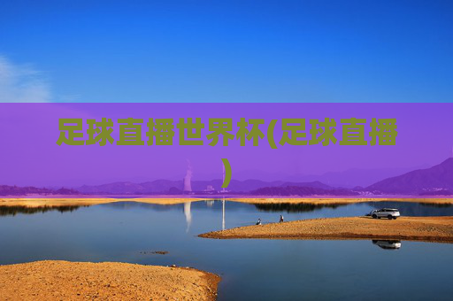 足球直播世界杯(足球直播)