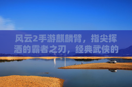 风云2手游麒麟臂,指尖挥洒的霸者之刃,经典武侠的指尖重塑,风云2手游麒麟臂,指尖挥洒的霸者之刃,经典武侠的指尖重塑