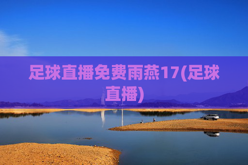 足球直播免费雨燕17(足球直播)